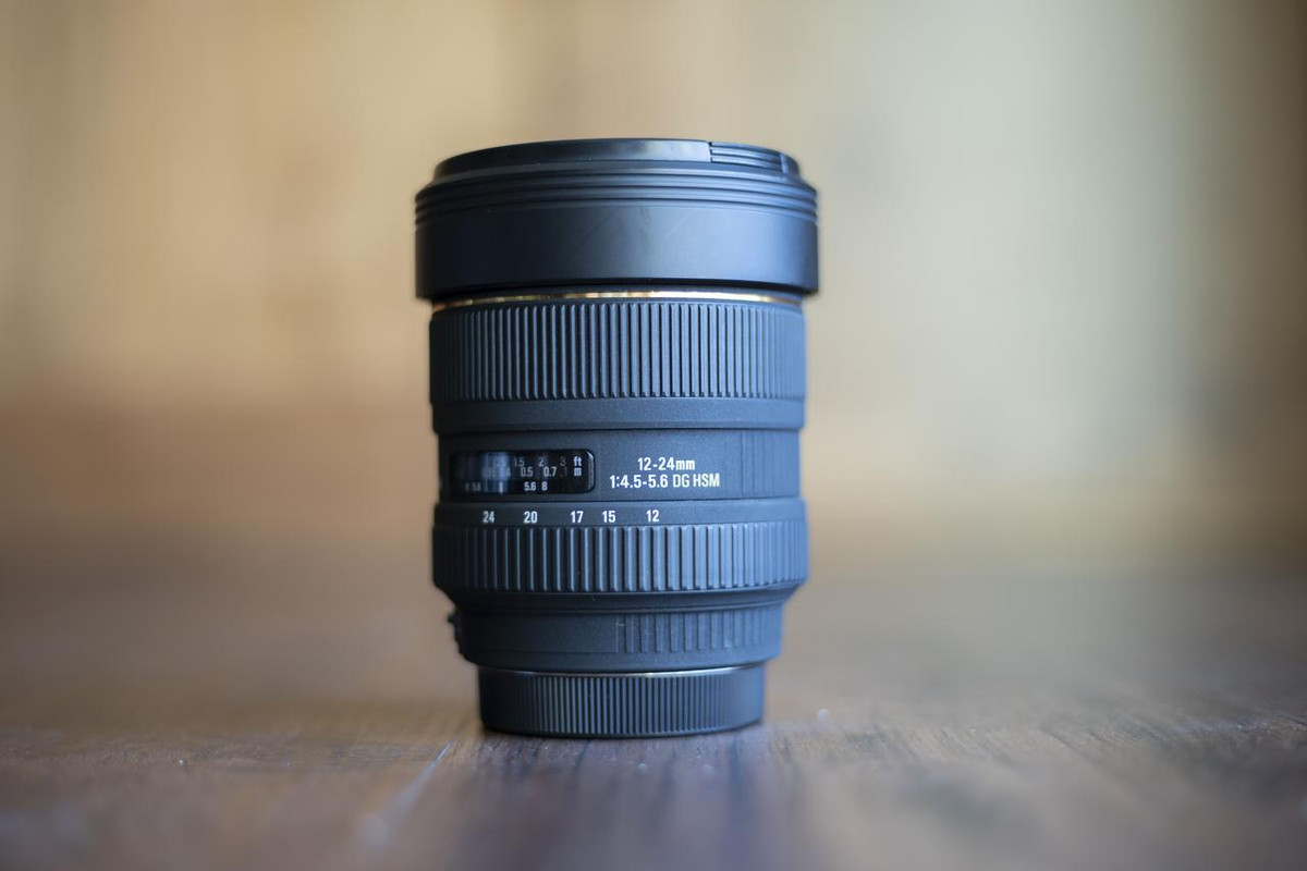 IMAGE: https://i.postimg.cc/jd2twMCr/DSC01114.jpg