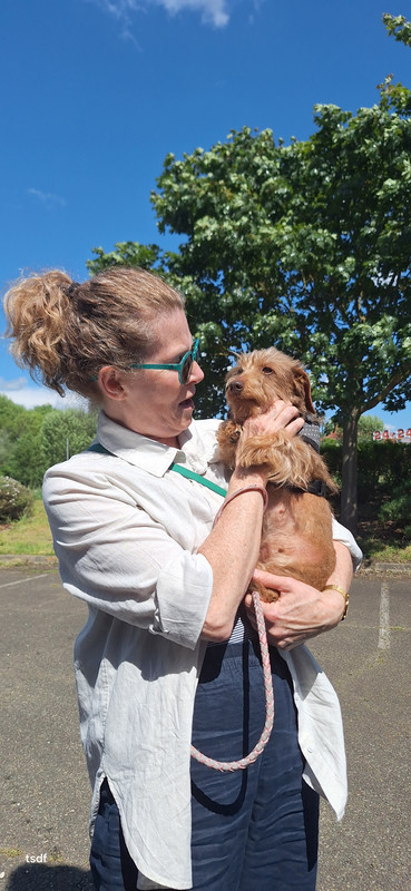 [Image: 20250503-152657.jpg]