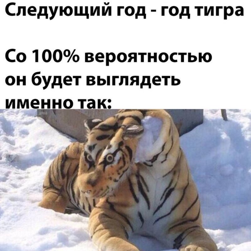 985.jpg