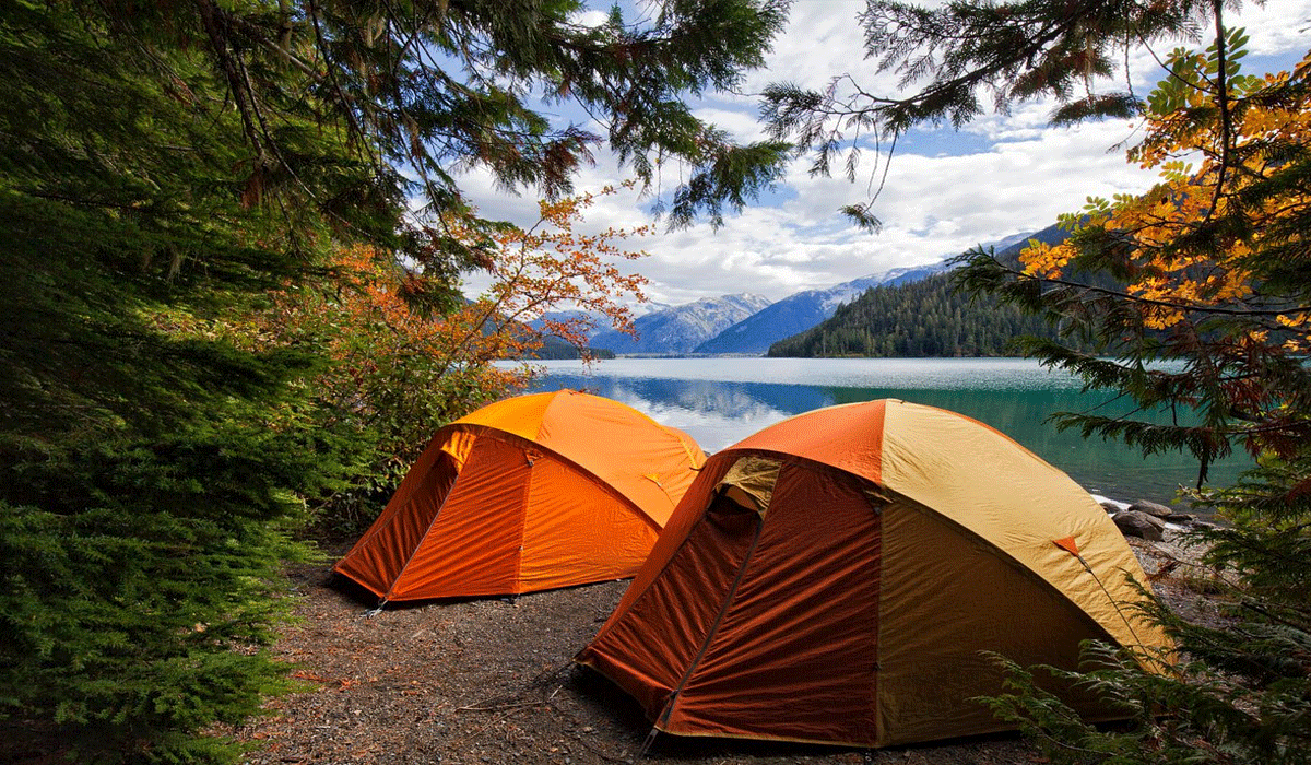 What Happened During This Camping Trip Shocked Everyone