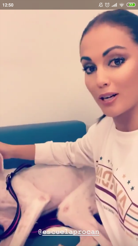 Screenshot_2019-11-30-12-50-06-349_com.instagram.android