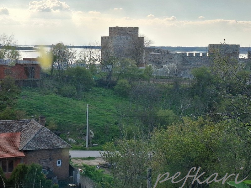 Slika