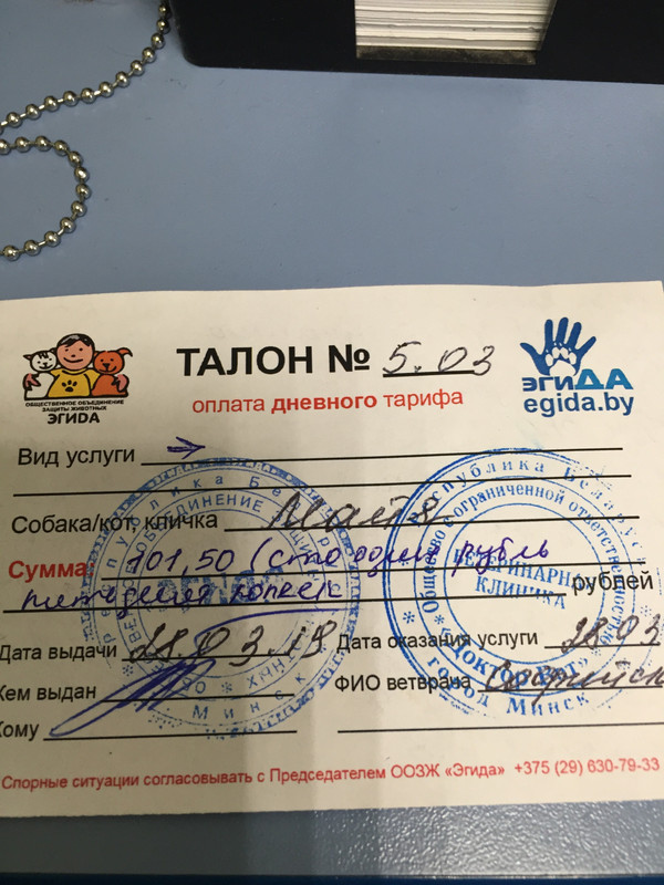 606FF325-8C03-43E8-82C8-DF12ABF2C365