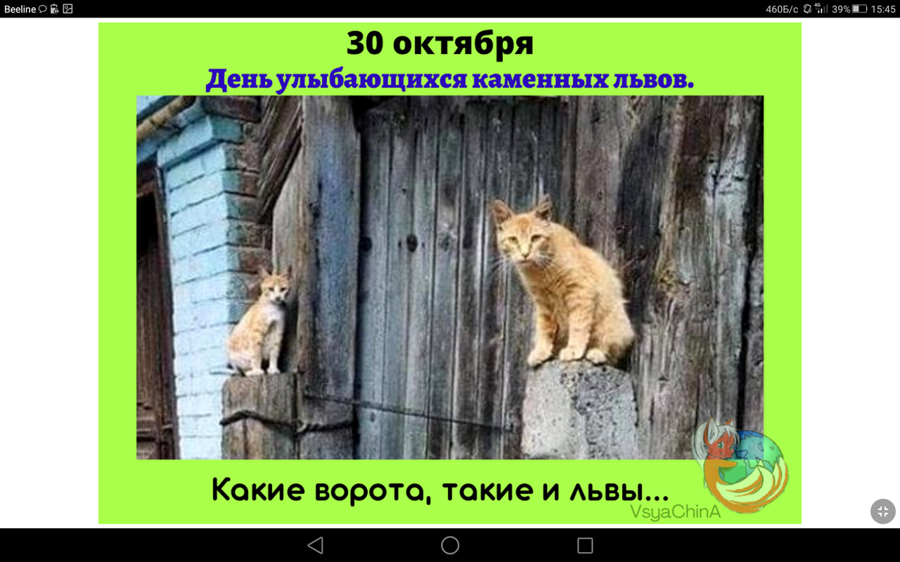 Screenshot_2023-10-30-15-45-06