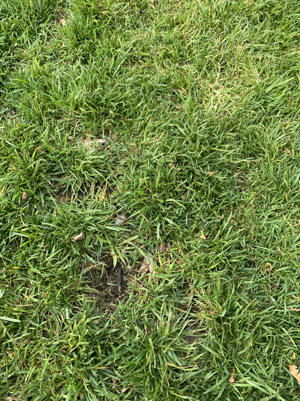 75E175A4-8905-459B-B1F8-F0EF2A15A122