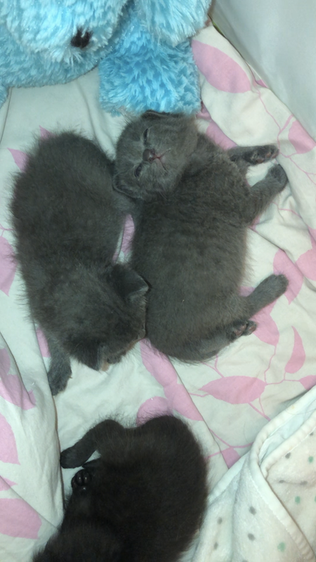 1A604229-2181-4F69-B302-07FF12030EC1