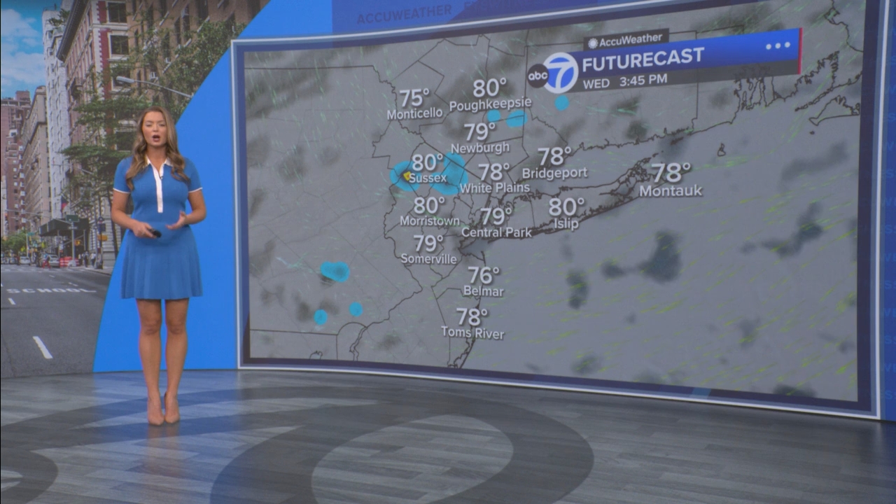 Eyewitness News Mornings at 10_20250805_15001600.ts_snapshot_00.55.05.848