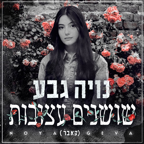 תמונה
