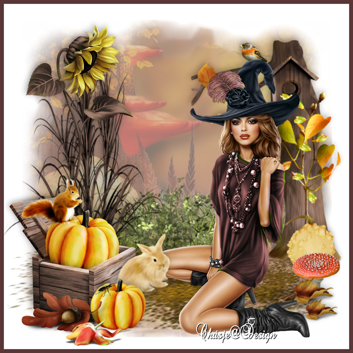 Image and video hosting by TiyPic