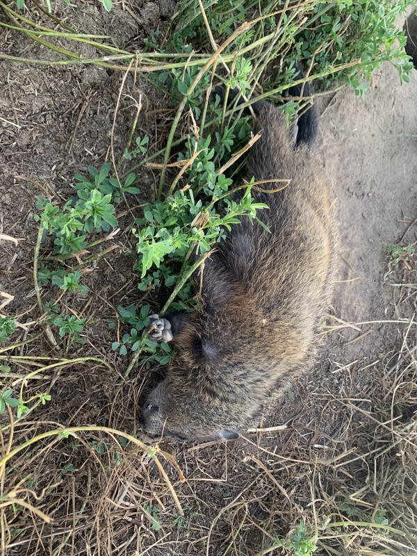 5A9D3DD8-24BE-41E2-8453-228A4E984E95