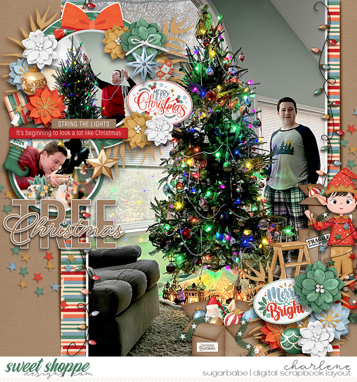 char-ljs-deckthehalls-fdd-The-Big-Picture2-wm.jpg