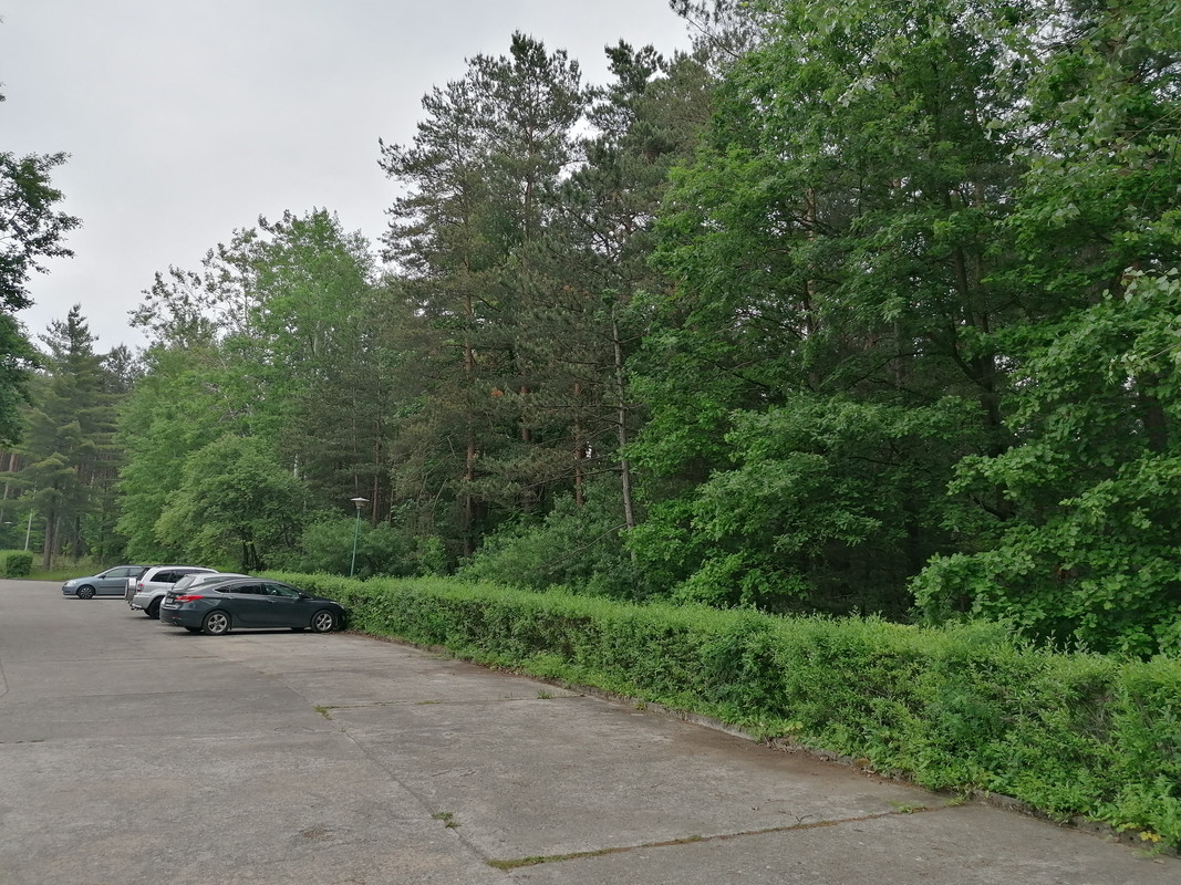 01.15 - IMG_20200610_171906 (Czesio1)