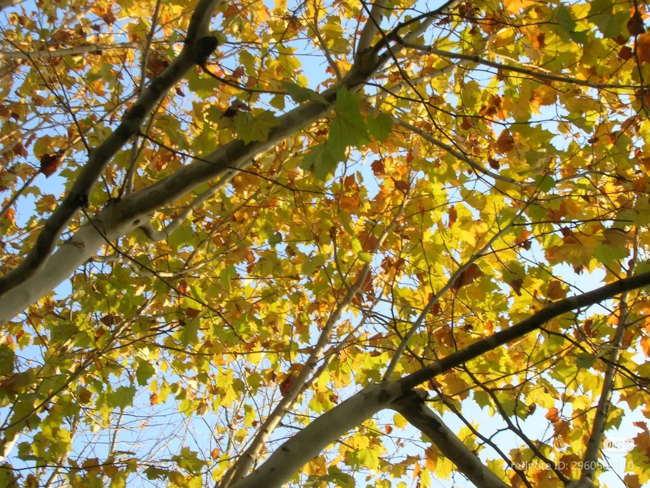 photo 1 2025 12 14 22 12 47