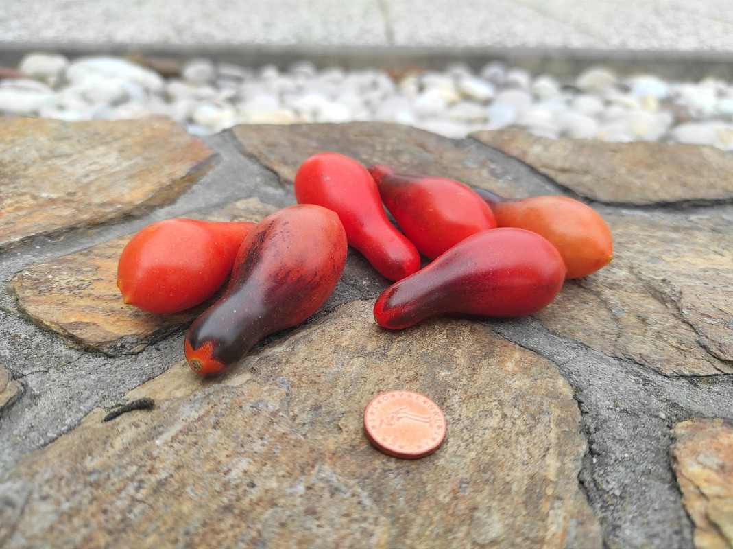 548263681_24543291121956589_3619705434100188766_n