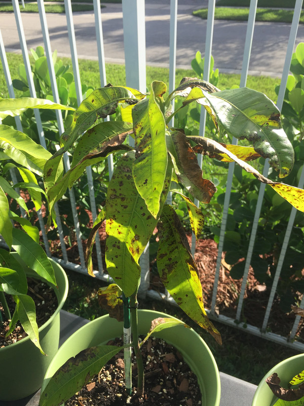 54A51623-27BE-45A2-A166-F29FECD72944