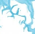 ce71179a7d7697b525dc48c7191992ed.png