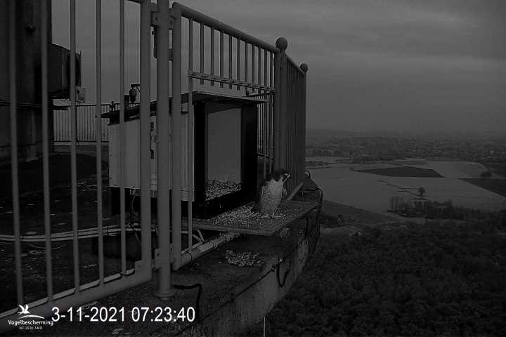 campics vanaf 1 juli © VWGGemert en bonusjes van ter plekke - Pagina 39 3