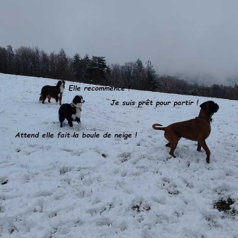 IMG-20260314-150519b