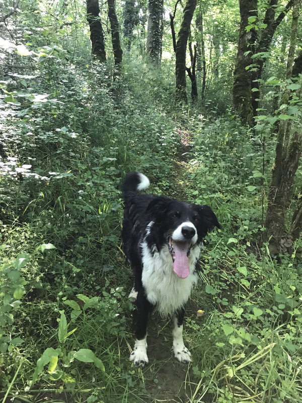 05263092-1F25-4DF0-BF7B-86453008F2A3