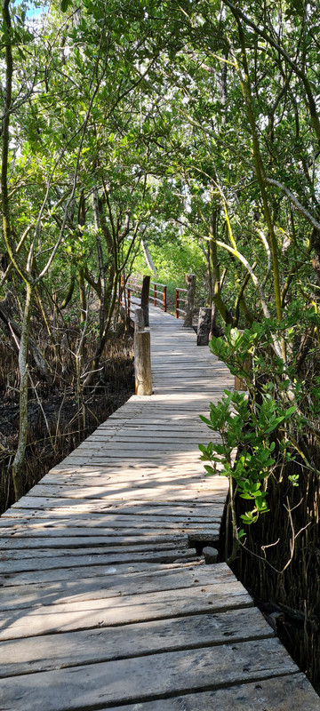 Isla Mujeres e Isla Contoy, un regalo de la naturaleza - Riviera Maya en Navidad (22)