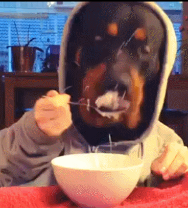 daily-gifdump-3433-15-(1).gif