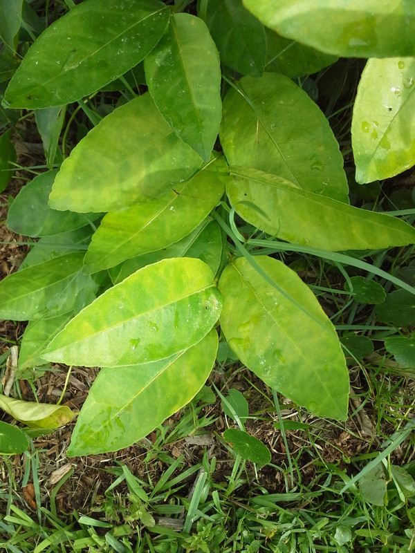 20140513_173351