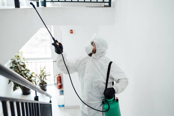 Kissimmee-Termite-Treatment-8.jpg