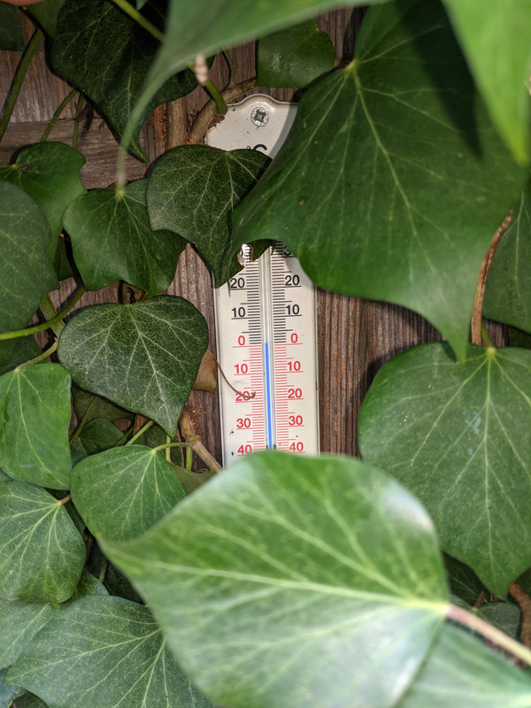 PXL_20201121_095617645