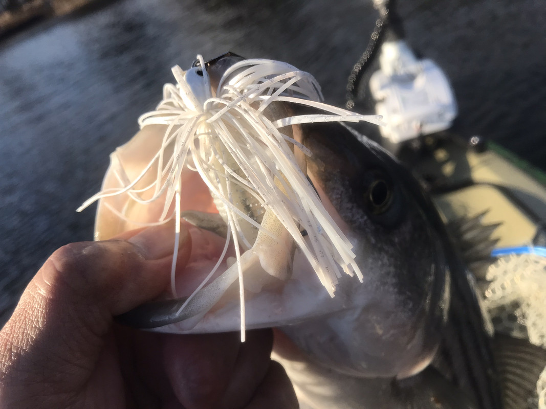 634079AD-5184-4C71-8BEC-3D97F1C72675