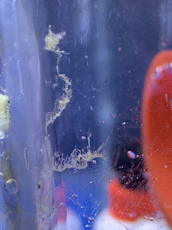 75CF396B-3EAE-409A-9A15-32AE1E333FCF