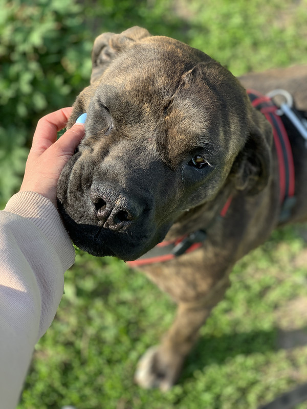 F2A03980-FC6C-4626-87CC-66FDC72F1B67