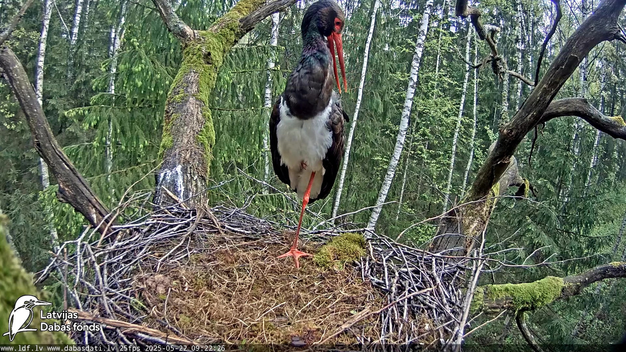 vlcsnap-2025-05-22-08h29m28s023