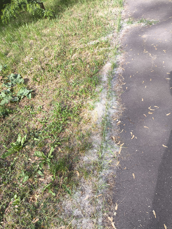 01 июня 2025 008