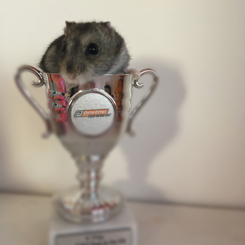 DBAC17E9-5D66-41F4-80DF-ABDED637C3D0