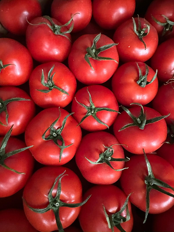 Whats App Image 2025 12 04 at 14 13 54