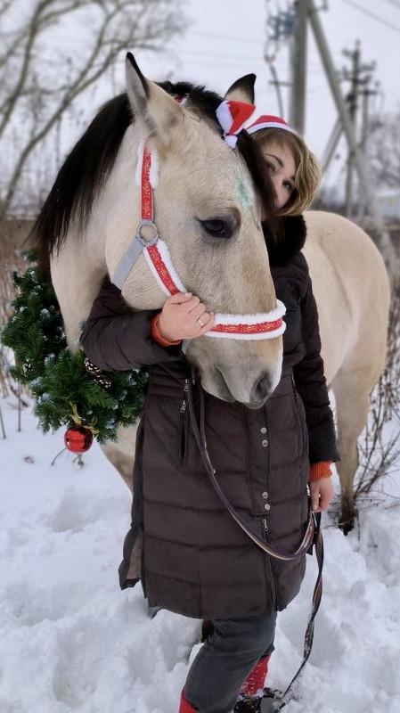 1A3D49C1-7BA5-4C4C-8D2E-EAE695952147