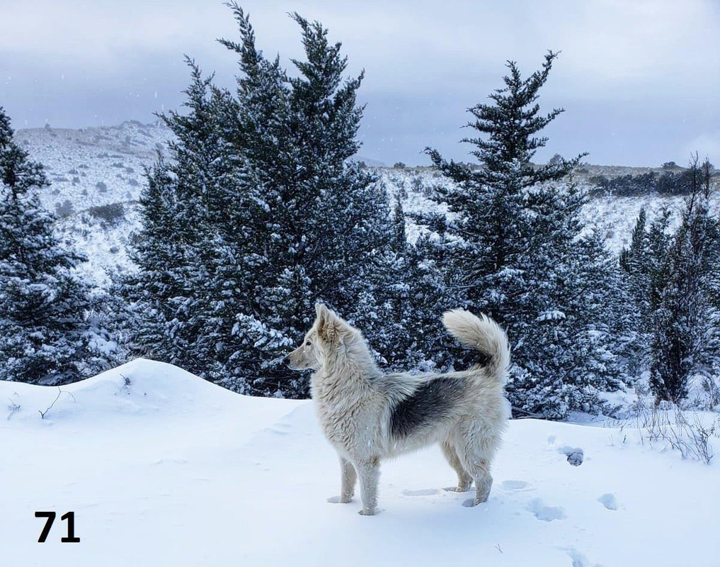 71 alicia lennonFCBFEC71-3CAA-4857-BE64-7E668900A917 - Copy (2) 