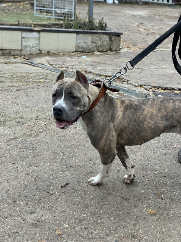 74FA2873-D76C-487A-8FA3-039742E922EF