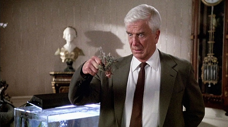 NAKED-GUN-3-FOTOR.jpg