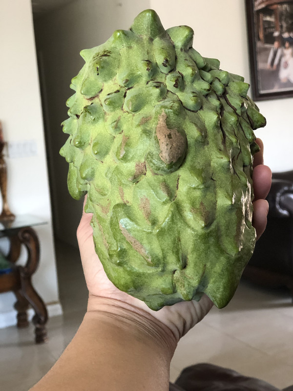 3B40303B-97C3-4DEA-ACF9-55264851D4DF