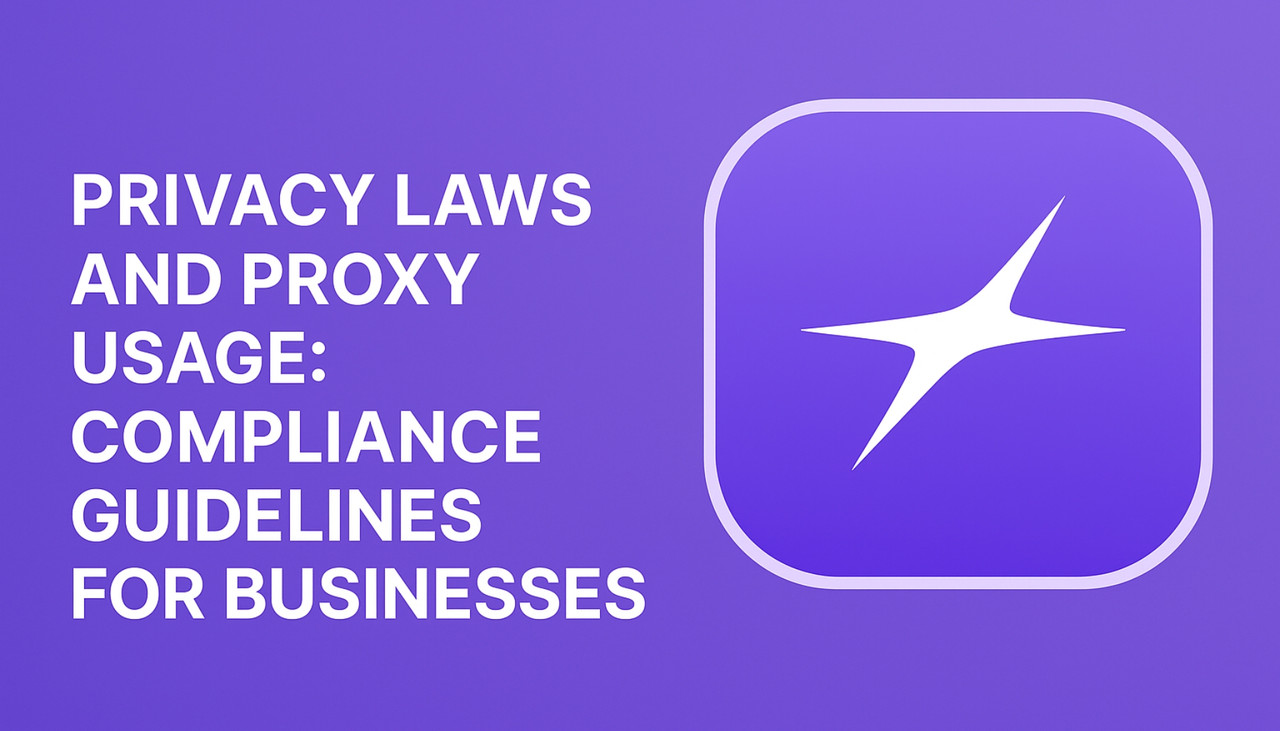 Privacy Laws and Proxy Usage: Compliance Guidelines for Businesses