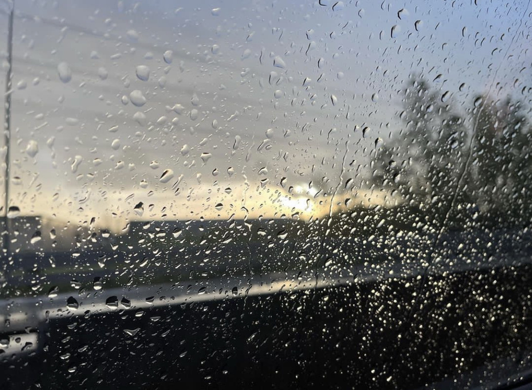 E06C7363-C11A-4AC2-B17D-A4AEE90B1406