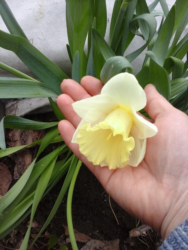 20190416_123428