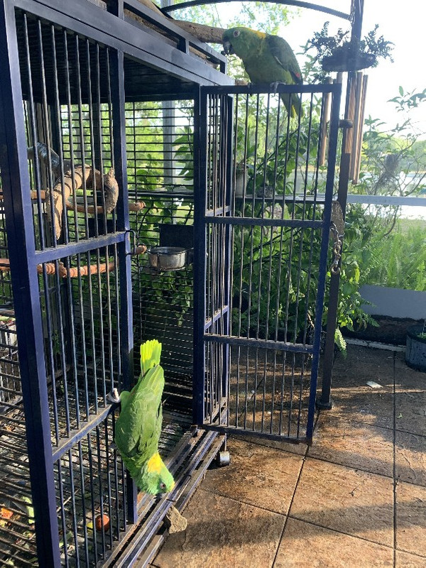 image1(3)_copy_604x805