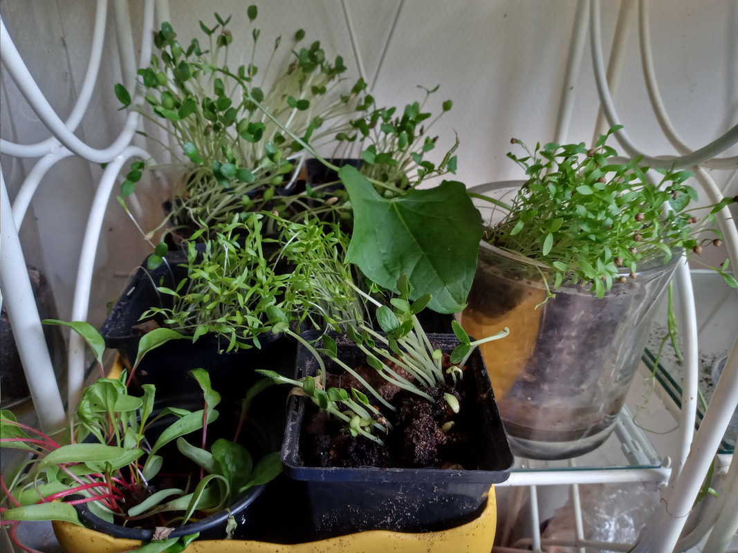 [Image: 20200703-102649.jpg]