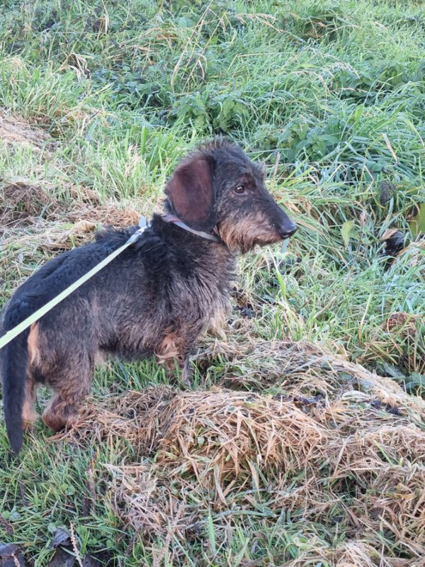 [Image: image000000-142.jpg]