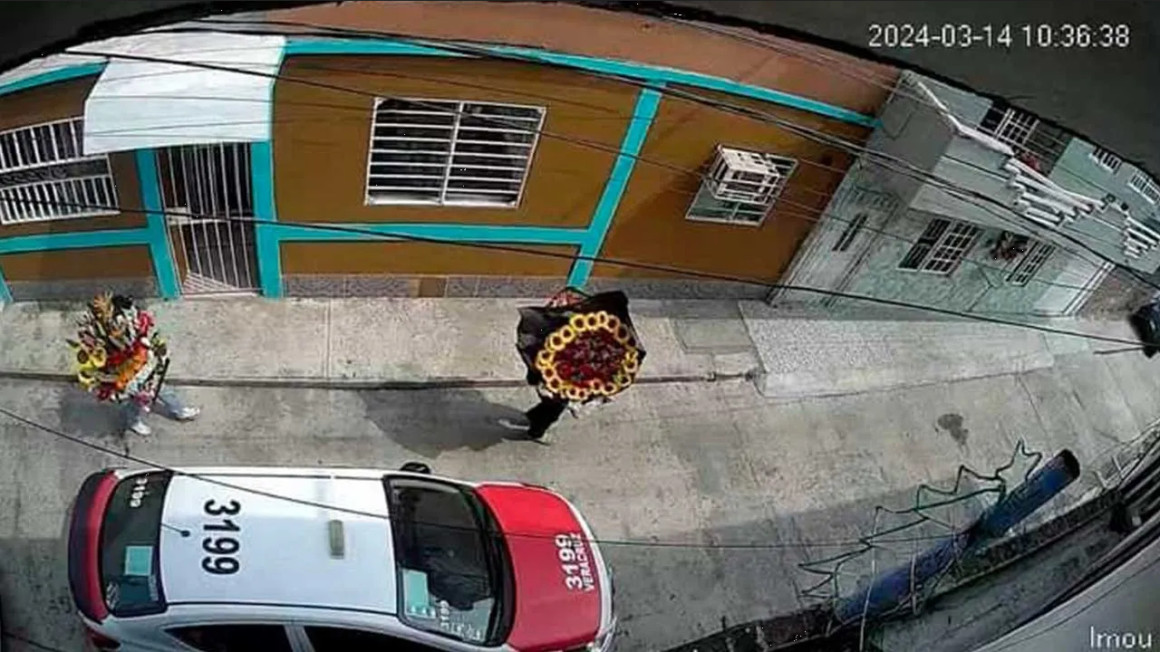 Delincuentes aprovechan la fiebre por las flores de 'El Patrón' para asaltan a abuelita