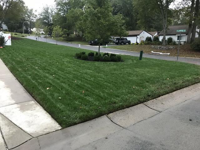 1886DA09-B3F8-45DF-9F6C-97F33CA5F441