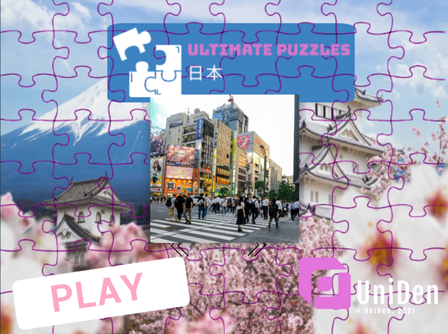 Ultimate-Puzzles-Japan-004