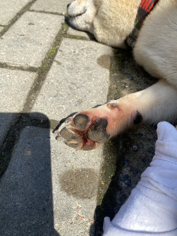 0C321DEE-4299-4892-85D1-A9B50D3D29F3